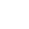 Miami Skyline