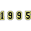 1995 Year Number