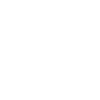 LEO Sternzeichen LION