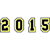 2015 Year Number