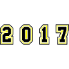2017 Year Number