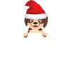 Christmas dog