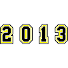 2013 Year Number