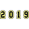 2019 Year Number
