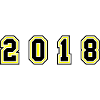 2018 Year Number