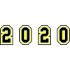 2020 Year Number