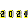 2021 Year Number
