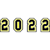 2022 Year Number