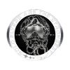 Fighterjet Pilot Helmet Sticker