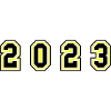 2023 year number