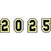 2025 Year Number