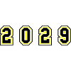 2029 Year Number
