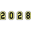 2028 year number