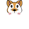 Hamster