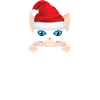 Christmas Cat