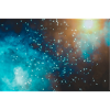 Cosmos