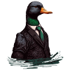Duck in feather Suit
