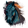 Visage de poney
