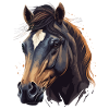 Stallion Face