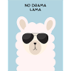 No Drama Llama Sunglasses