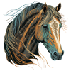 Horse Lover