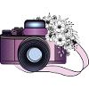 CAMARA CON FLORES