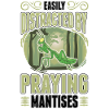 Gottesanbeterin Praying Mantis Fangschrecke