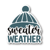 Sweater Weather - Winter Hat
