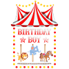 Carousel Birthday Party Birthday Boy