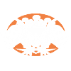 Drapeau de course Crâne