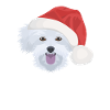 Malteser Merry Christmas