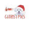 Malteser Merry Christmas