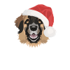 Merry Christmas Leonberg