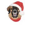 Merry Christmas Leonberg