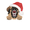 Merry Christmas Leonberg