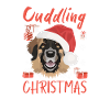 Joyeux Noël Leonberg