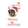 Joyeux Noël Leonberg