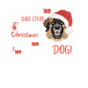 Joyeux Noël Leonberg