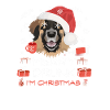 Leonberg Christmas Market