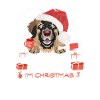 Leonberger Weihnachtsmarkt