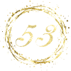 53