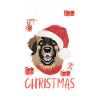 Joyeux Noël Leonberg