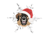 Joyeux Noël Leonberg