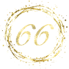 66