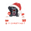 Labrador Weihnachtsmarkt