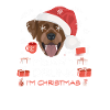 Labrador Weihnachtsmarkt