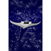 Manta avale les étoiles