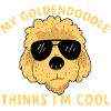 Goldendoodle Doodle Chien