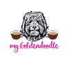 Goldendoodle Doodle Dog