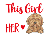 Goldendoodle Doodle Chien